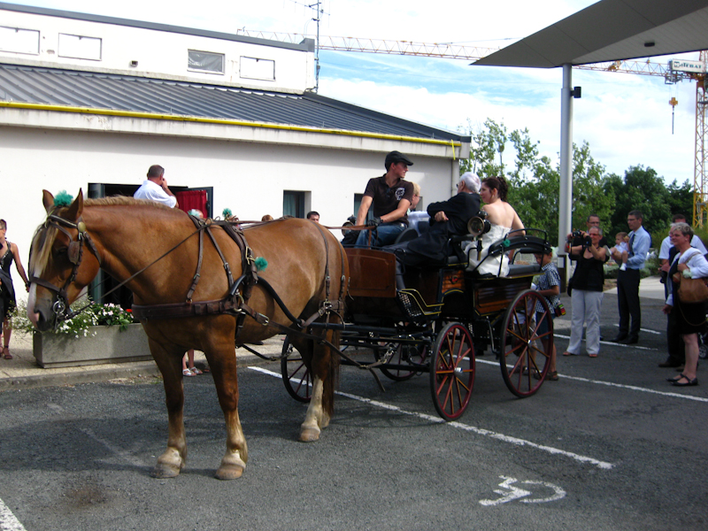 Carriage