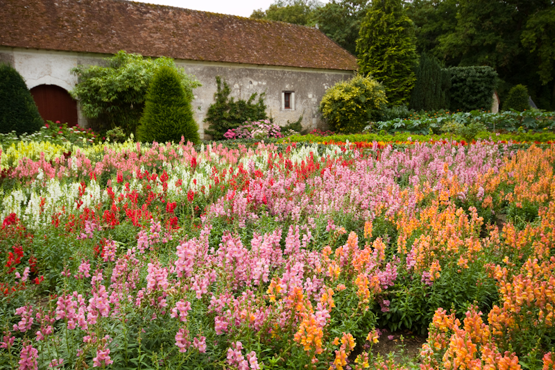 Farm - Chateau de Chenonceau